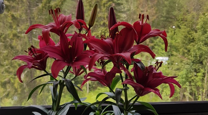 Manam blogam – 3 gadi!